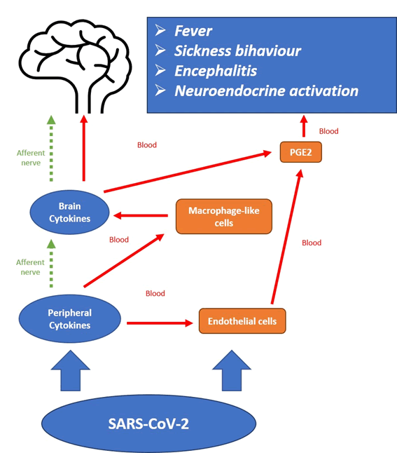 neuro-psycharity-mechanisms