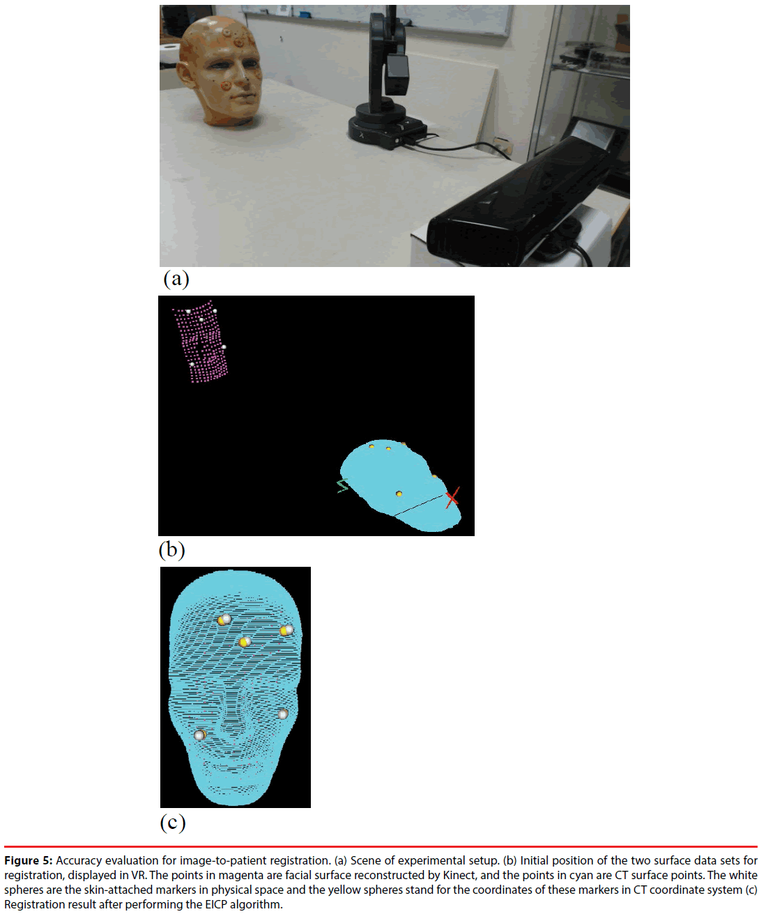 neuropsychiatry-Accuracy-evaluation