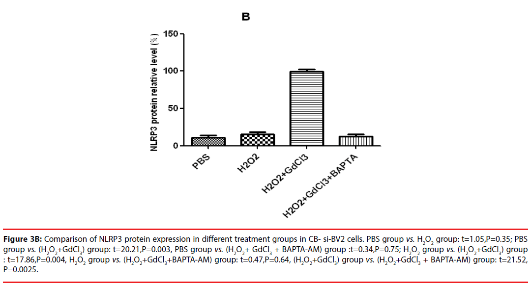 neuropsychiatry-Comparison