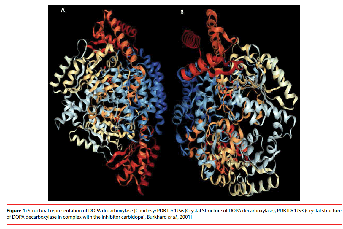 neuropsychiatry-Crystal-structure