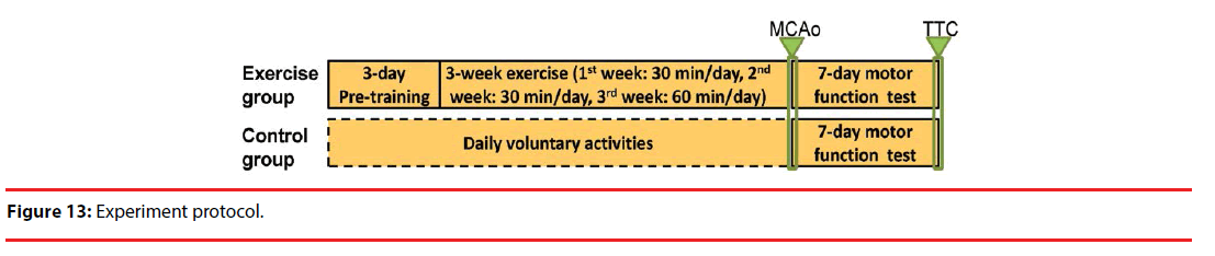 neuropsychiatry-Experiment-protocol