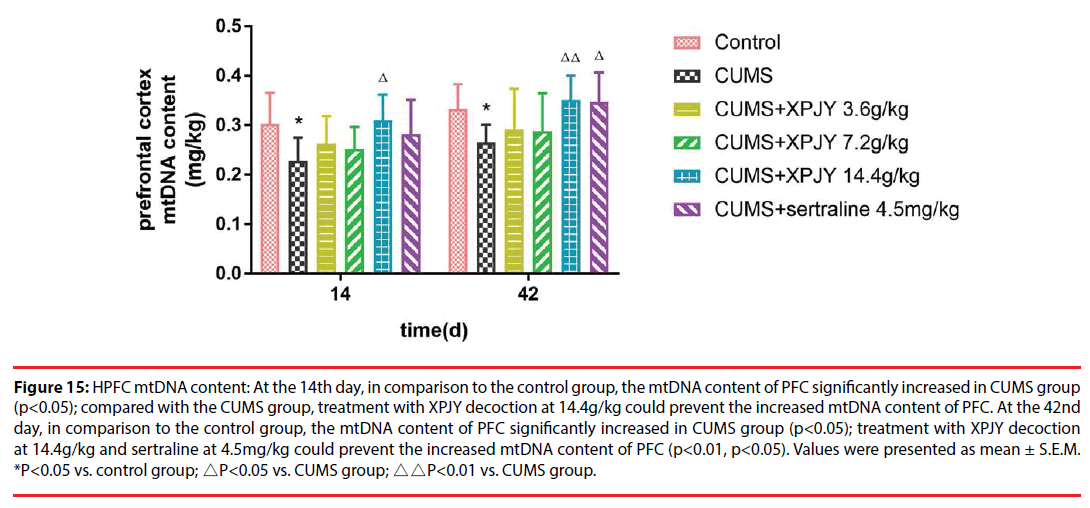 neuropsychiatry-HPFC-mtDNA