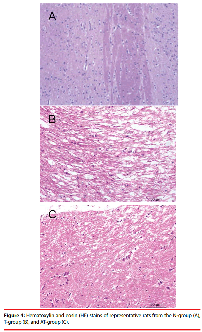 neuropsychiatry-Hematoxylin