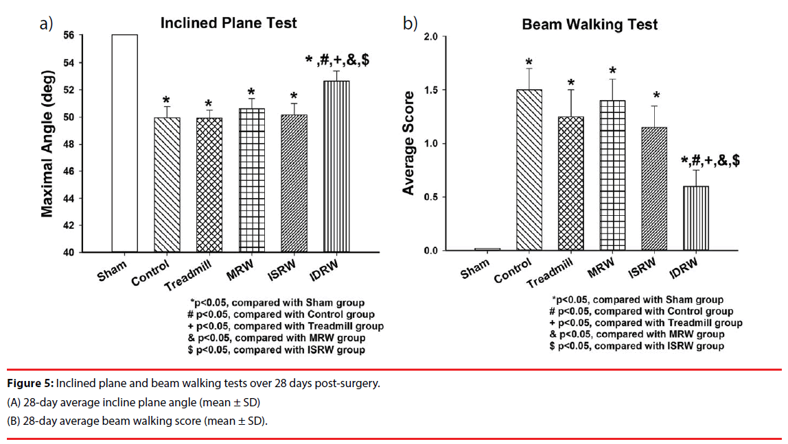 neuropsychiatry-Inclined-plane