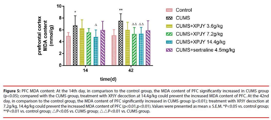 neuropsychiatry-MDA-content