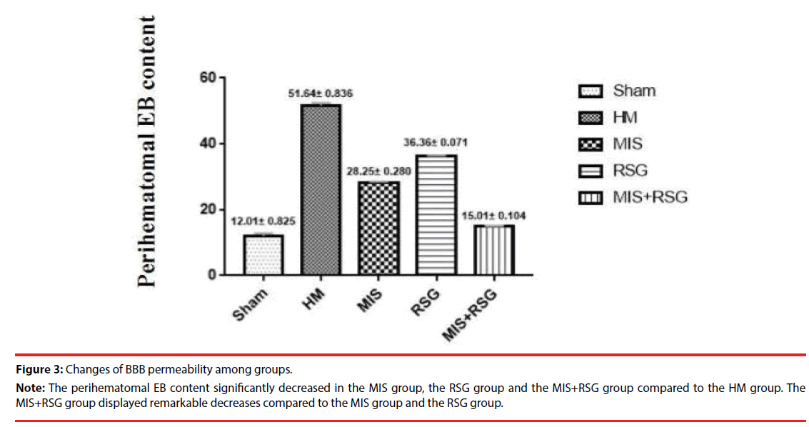 neuropsychiatry-MIS-group