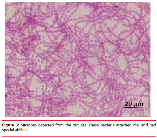 neuropsychiatry-Microbes