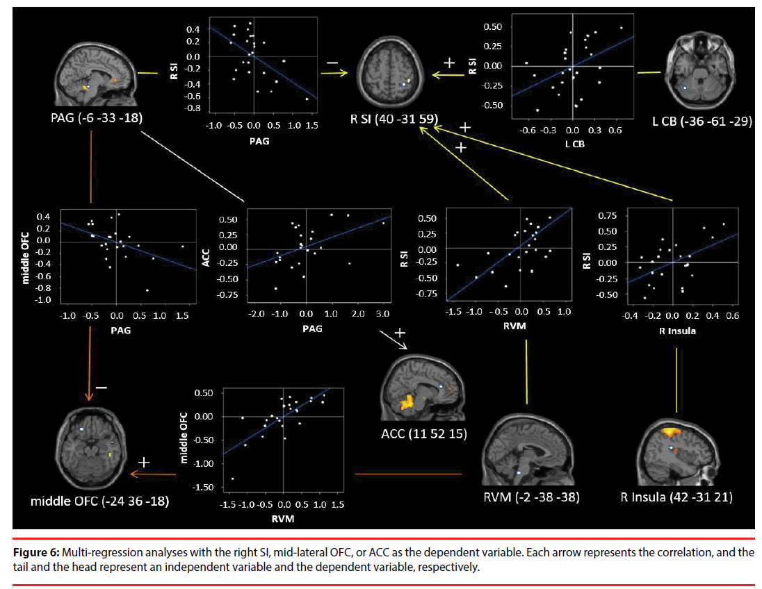 neuropsychiatry-Multi-regression