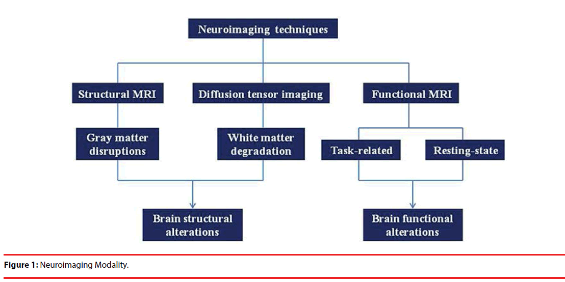 neuropsychiatry-Neuroimaging-Modality