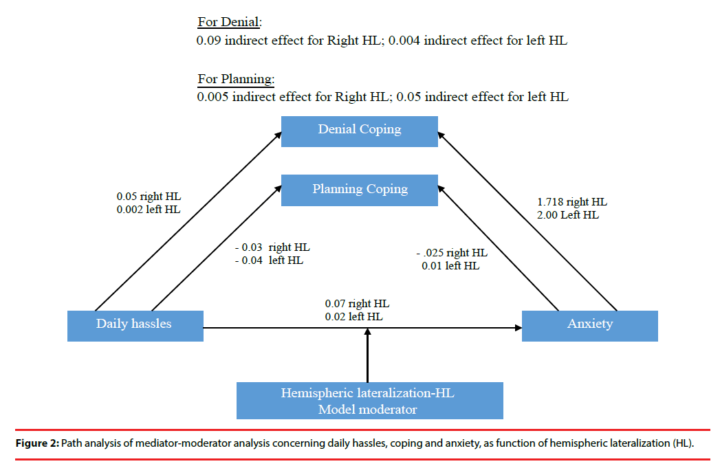 neuropsychiatry-Path-analysis