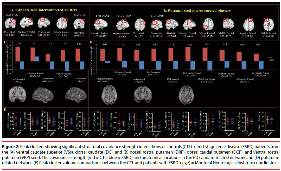 neuropsychiatry-Peak-clusters