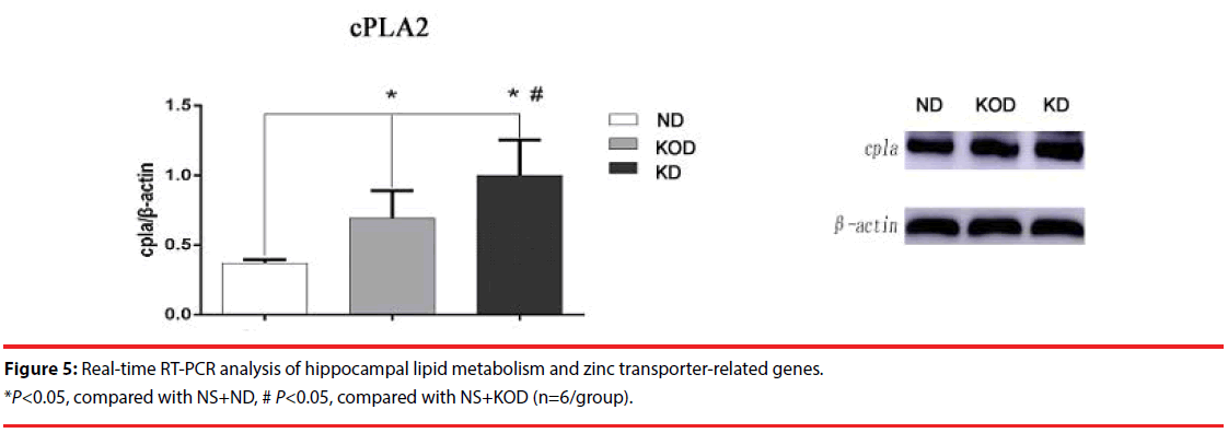 neuropsychiatry-Real-time