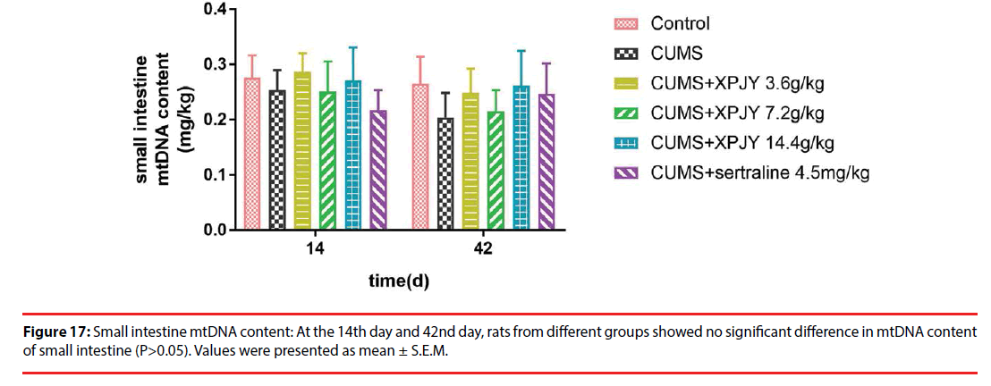 neuropsychiatry-Small-intestine