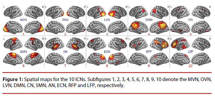 neuropsychiatry-Spatial-maps