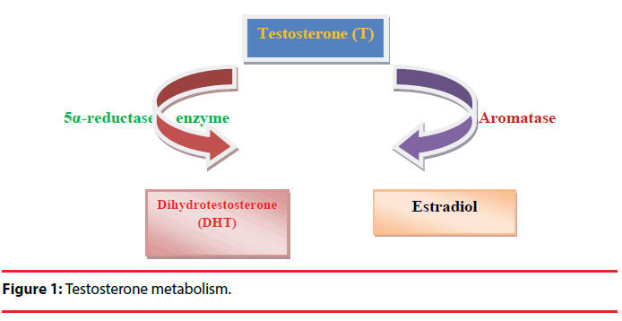 neuropsychiatry-Testosterone