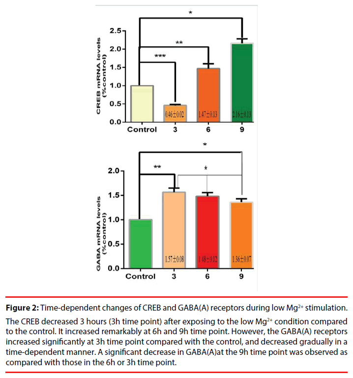 neuropsychiatry-Time-dependent-changes