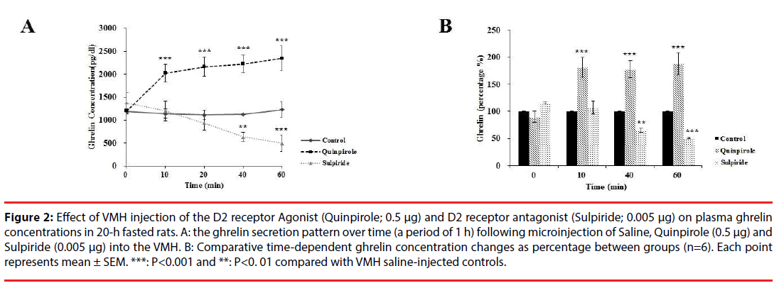 neuropsychiatry-VMH-injection