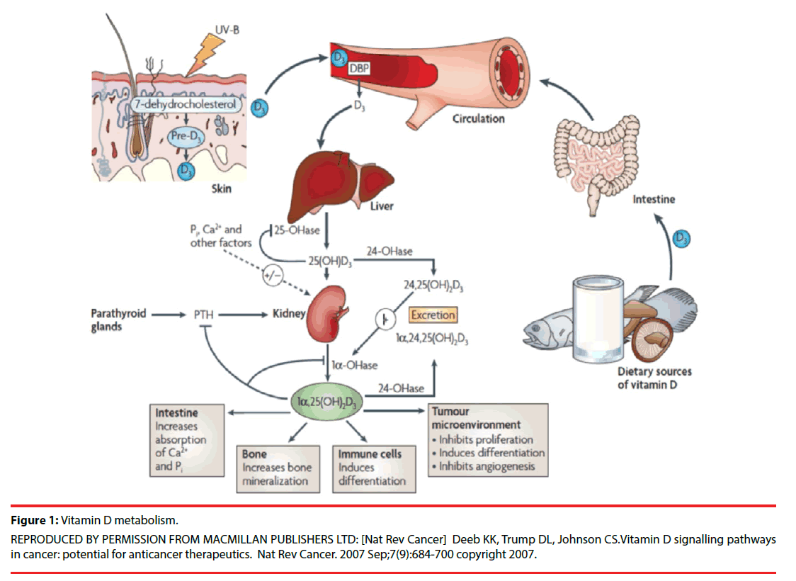 neuropsychiatry-Vitamin-metabolism