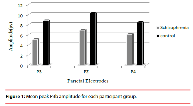 neuropsychiatry-amplitude-group