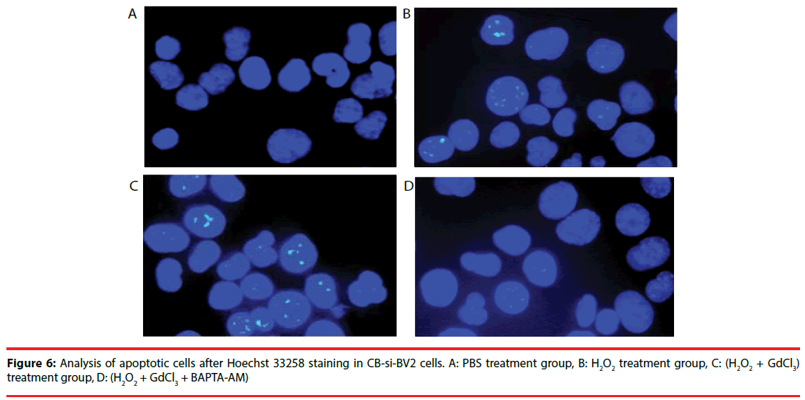 neuropsychiatry-apoptotic-cells