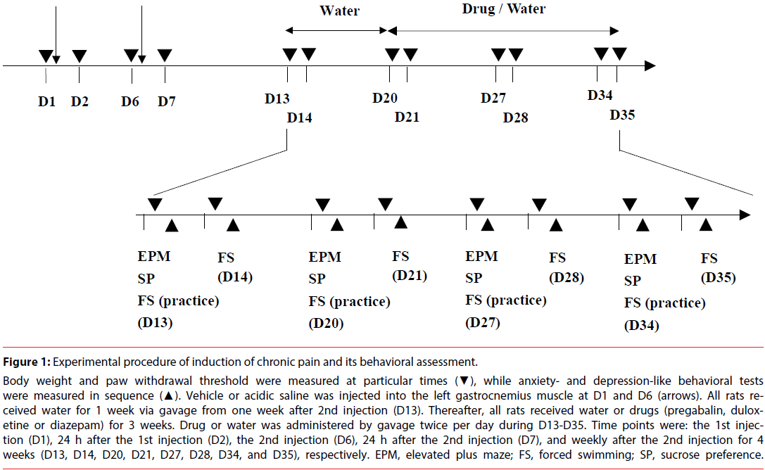 neuropsychiatry-behavioral-assessment