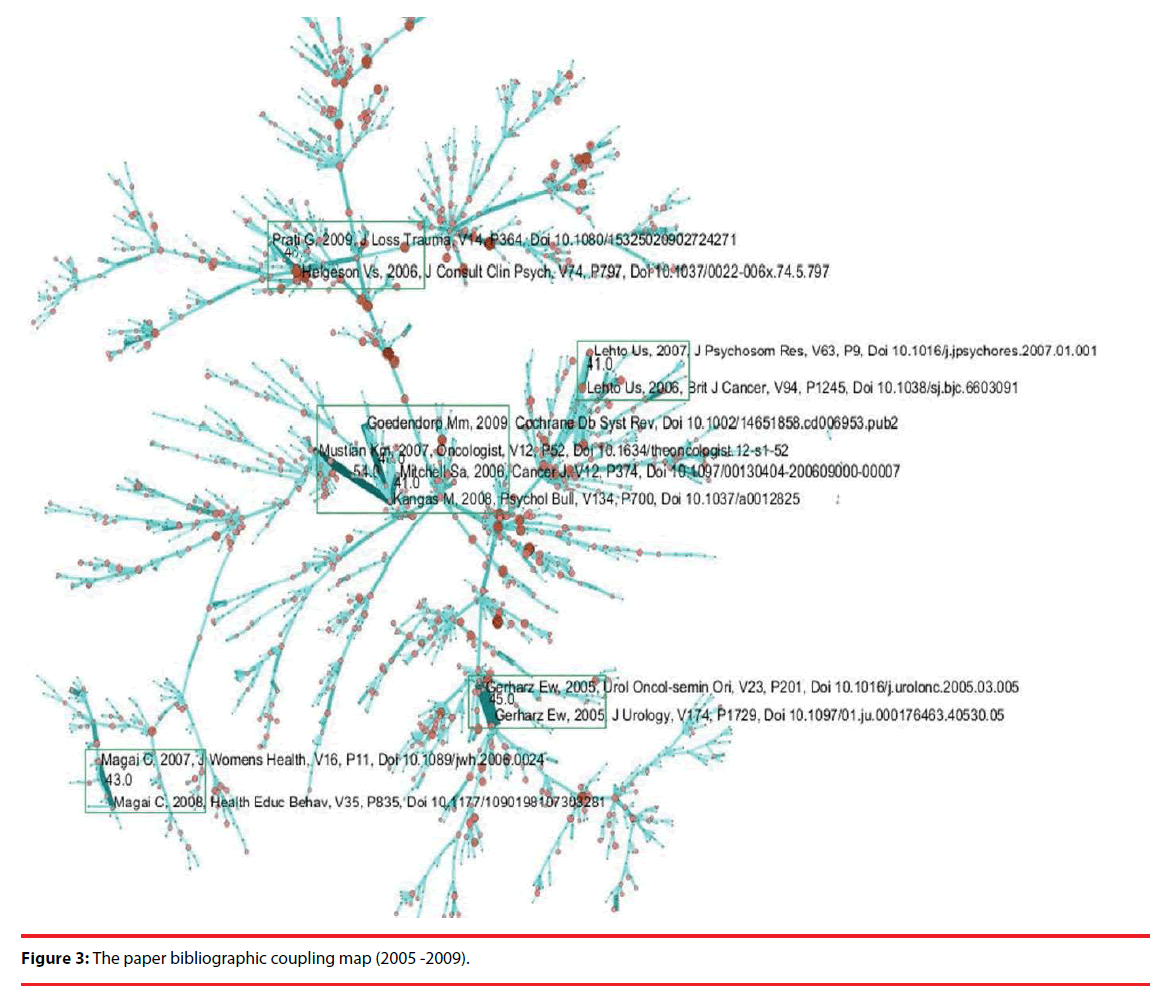 neuropsychiatry-bibliographic-coupling