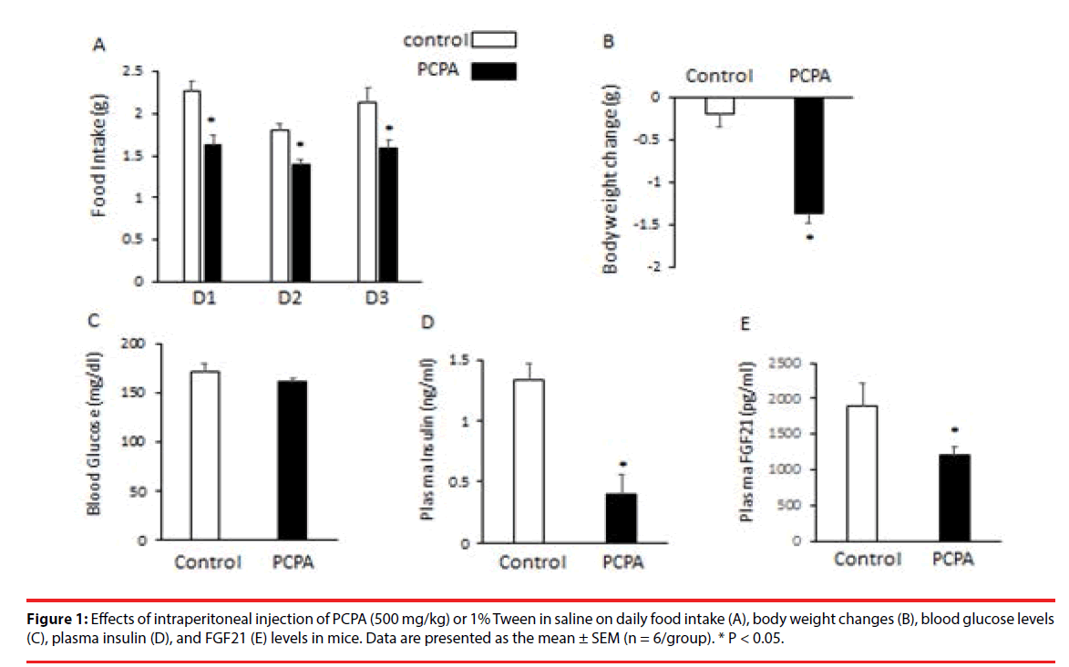 neuropsychiatry-body-weight