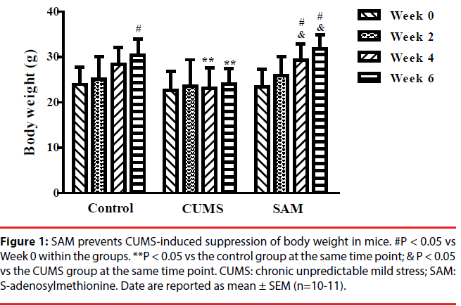 neuropsychiatry-body-weight