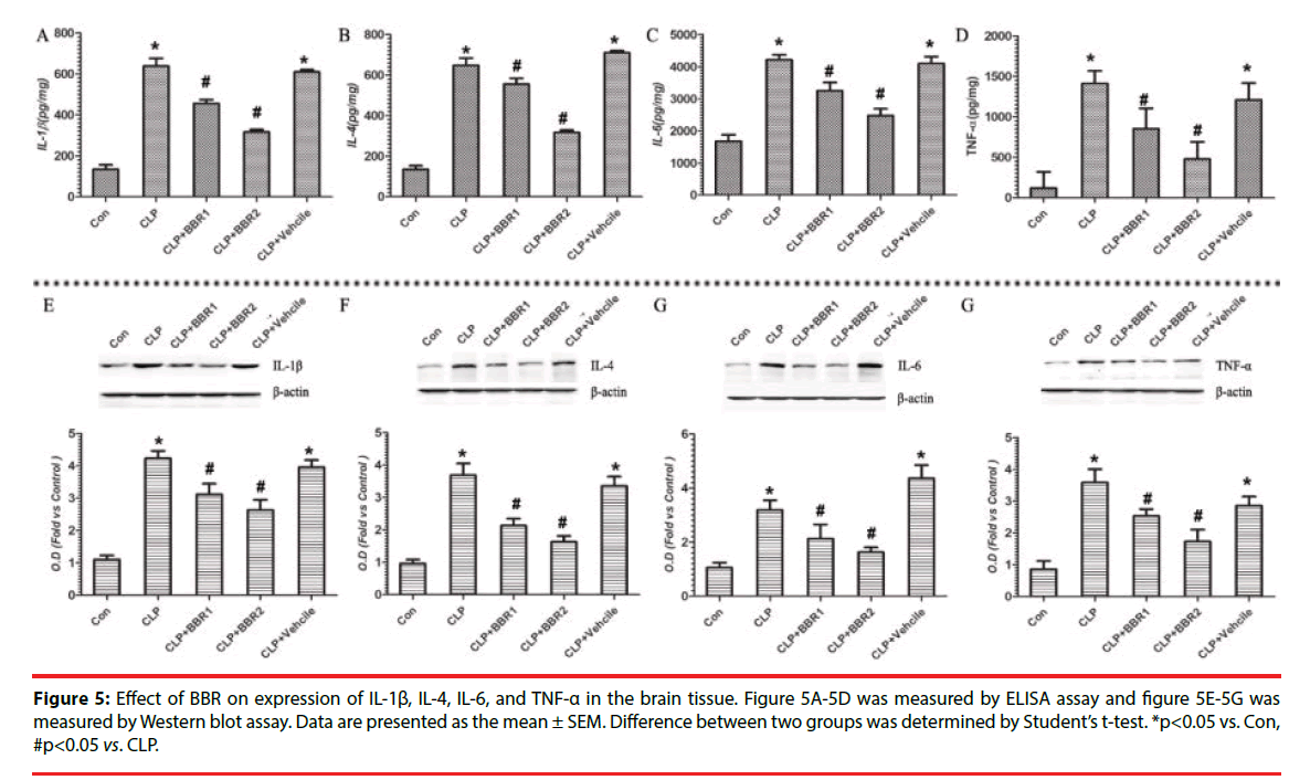 neuropsychiatry-brain-enzymes