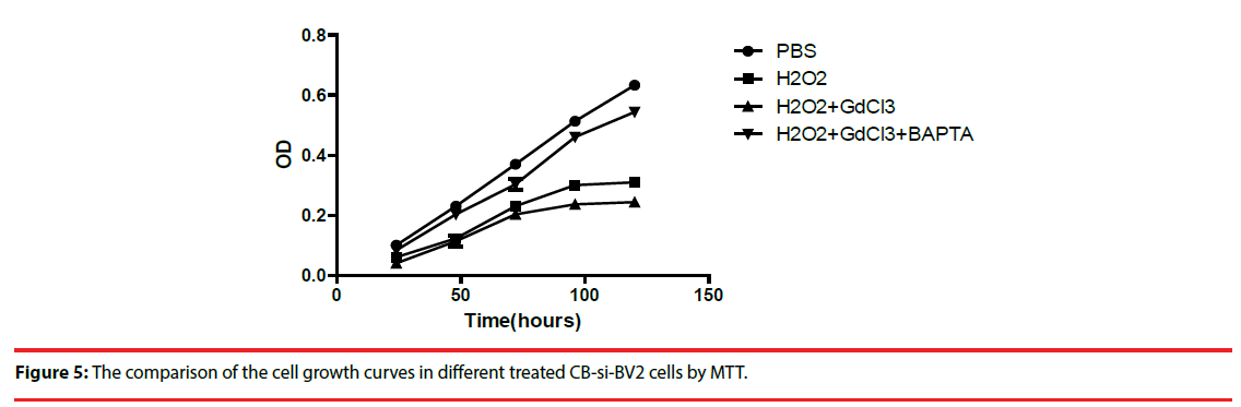 neuropsychiatry-cell-growth