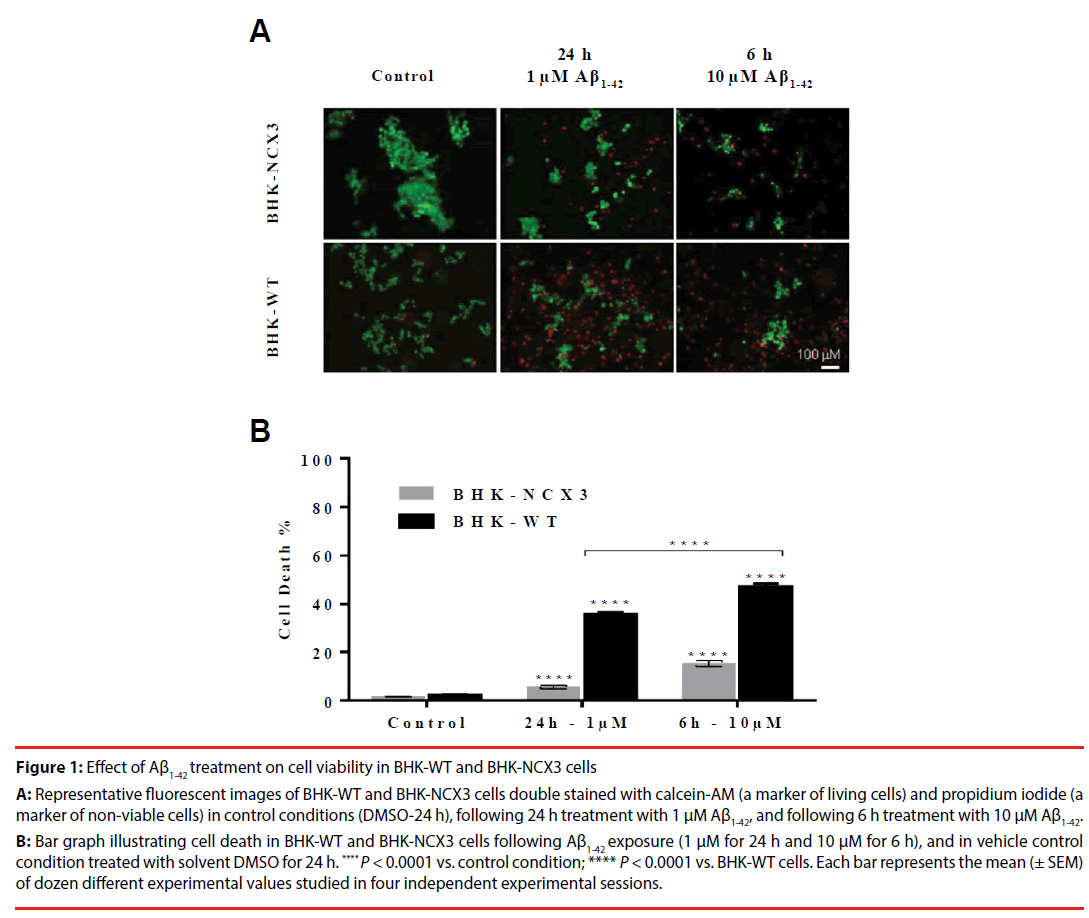 neuropsychiatry-cell-viability