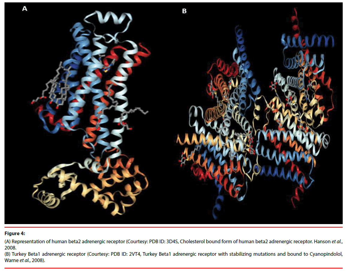 neuropsychiatry-chimeric-polymorphism