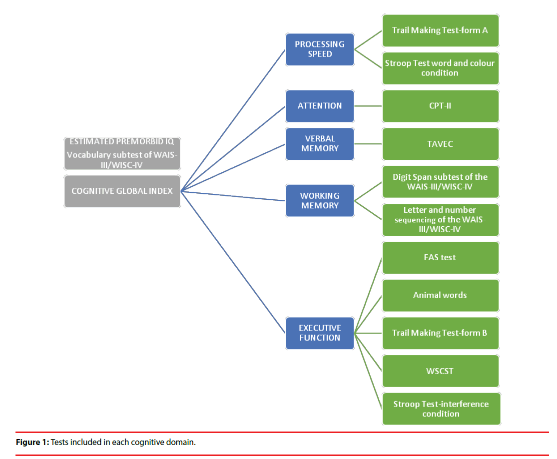 neuropsychiatry-cognitive-domain