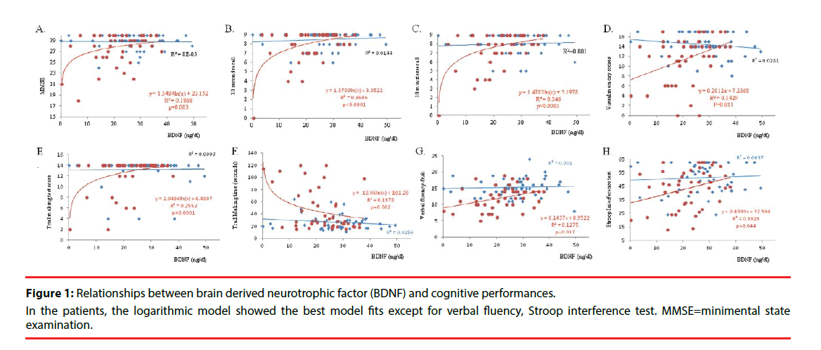 neuropsychiatry-cognitive-performances