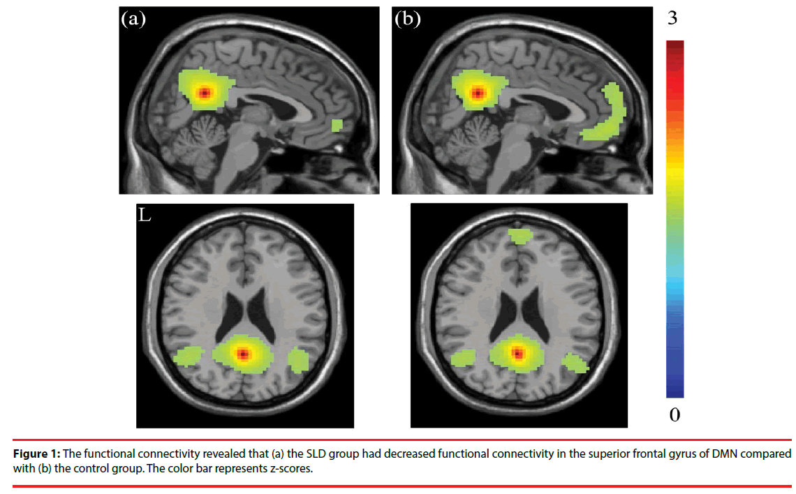 neuropsychiatry-color-bar