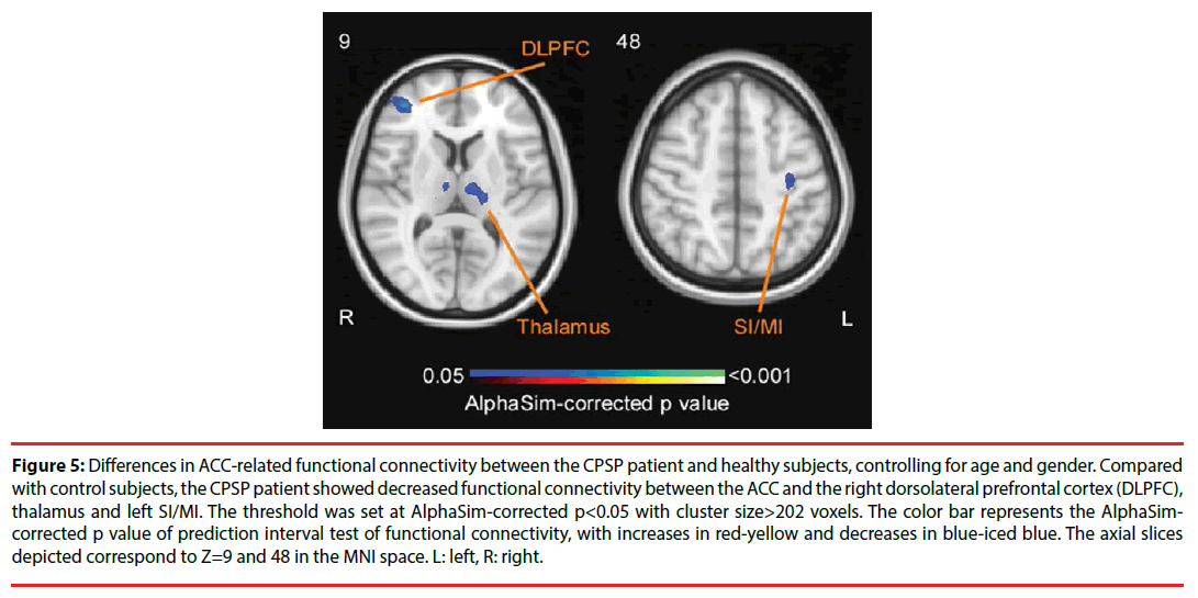 neuropsychiatry-color-bar