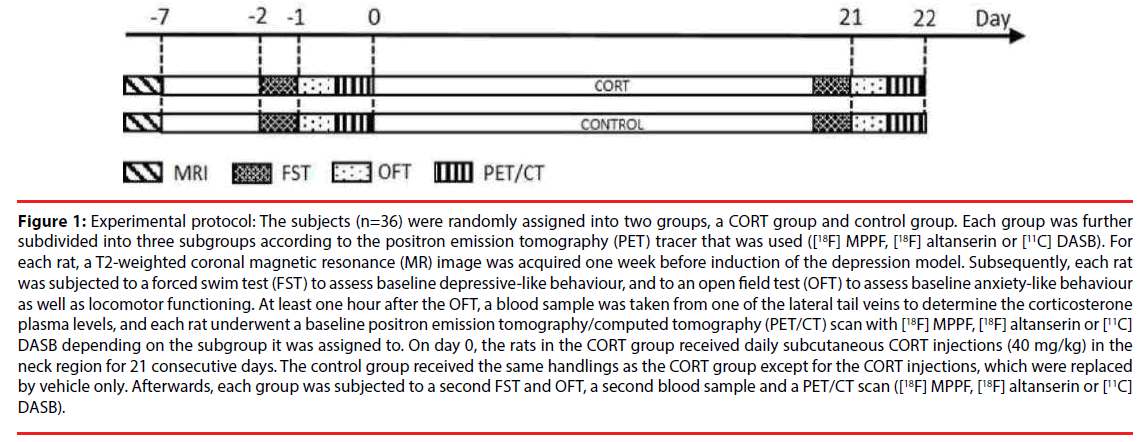 neuropsychiatry-control-group