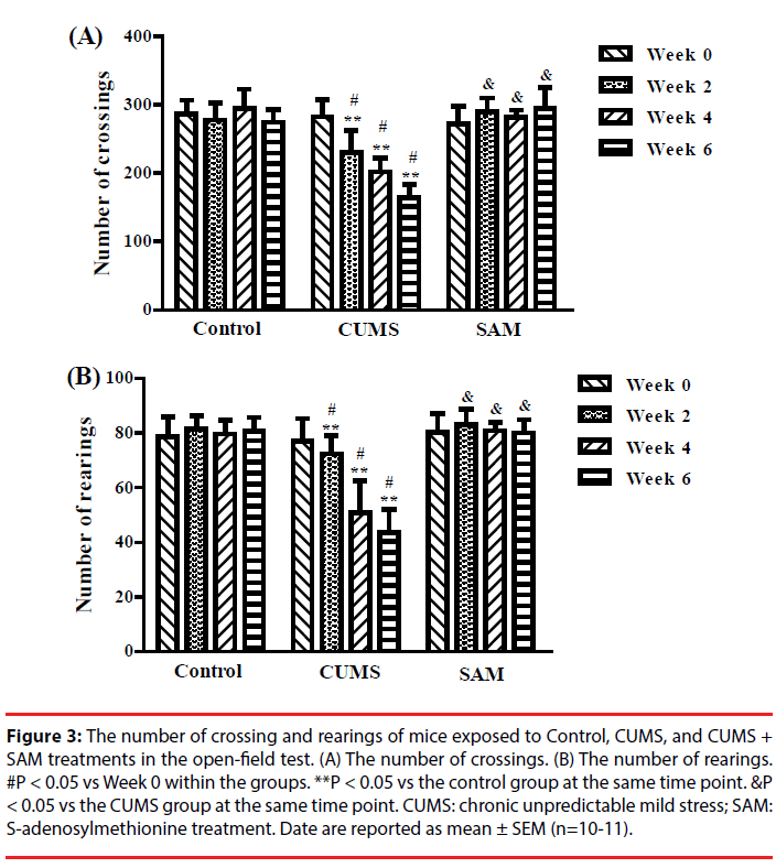 neuropsychiatry-crossing-preference