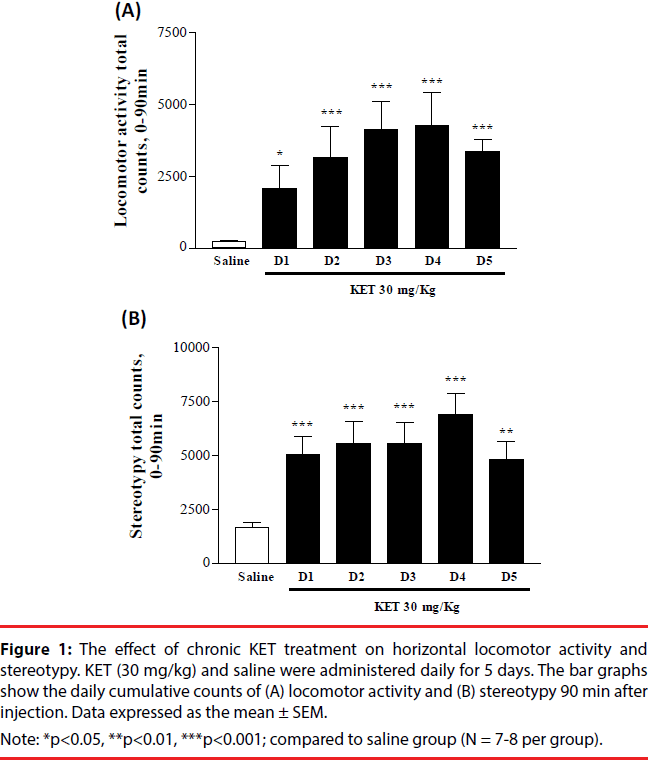 neuropsychiatry-effect-chronic-KET