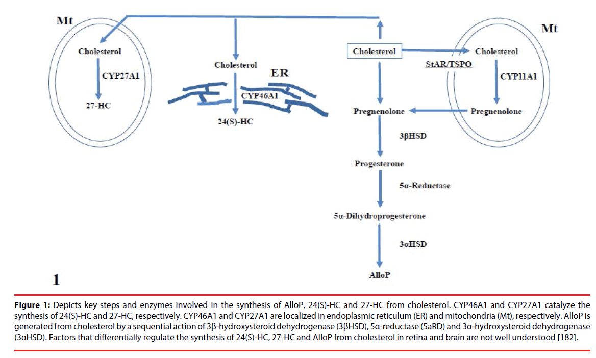 neuropsychiatry-enzymes-dehydrogenase