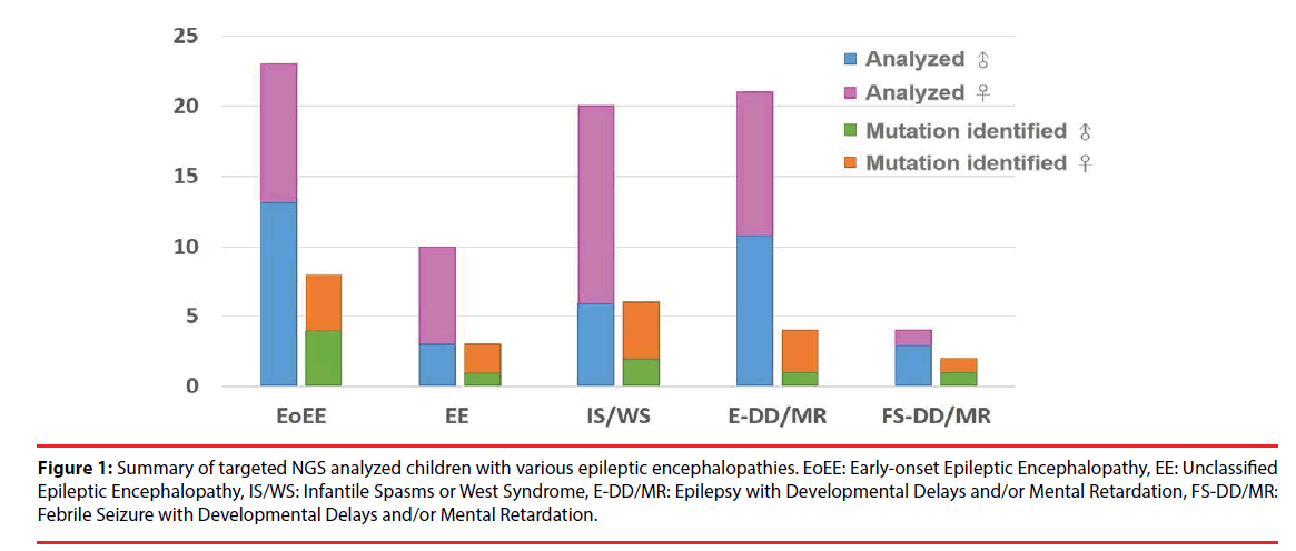 neuropsychiatry-epileptic-encephalopathies