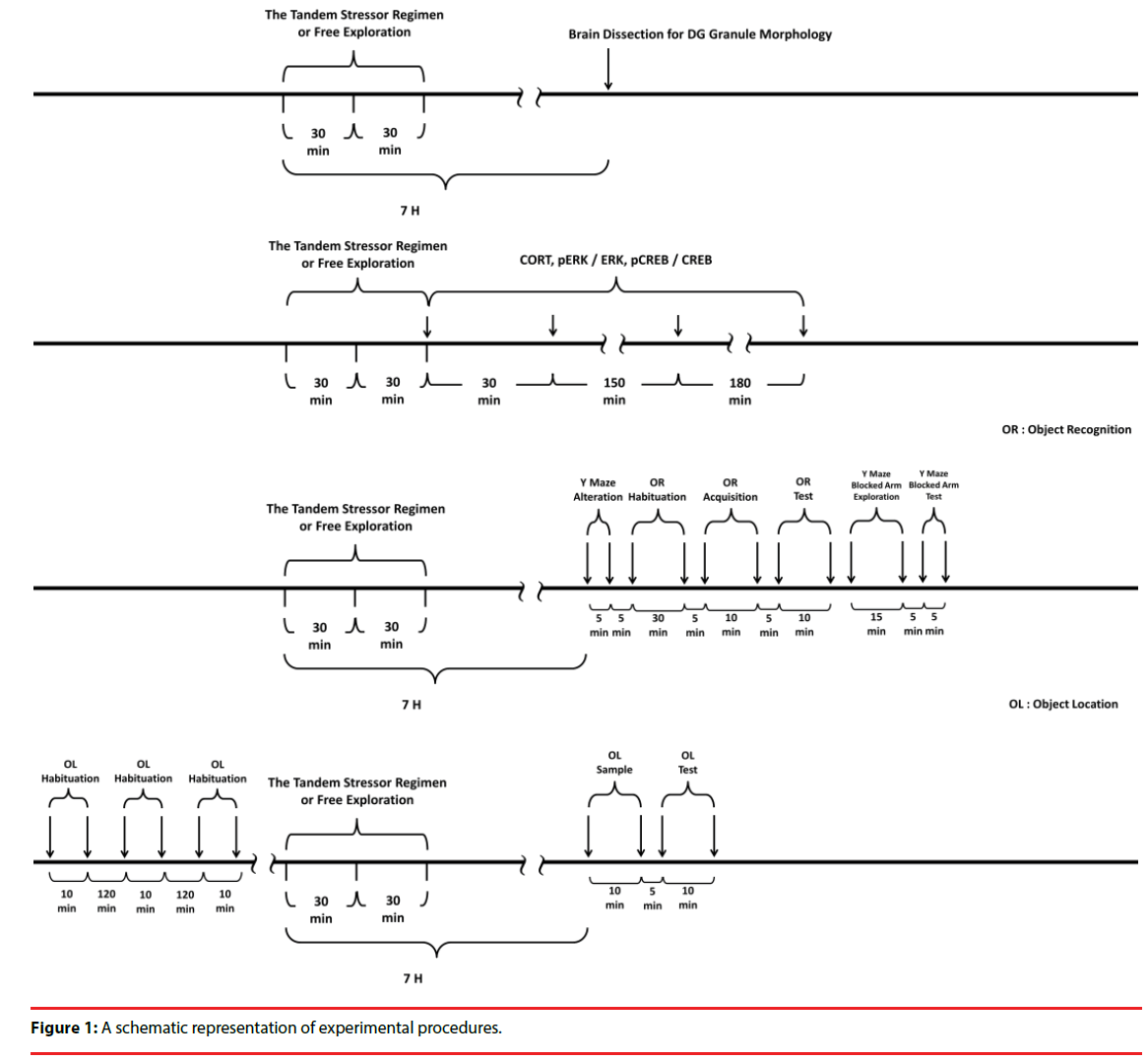 neuropsychiatry-experimental-procedures