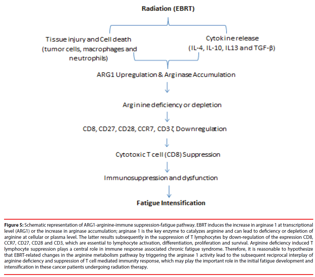 neuropsychiatry-fatigue-pathway