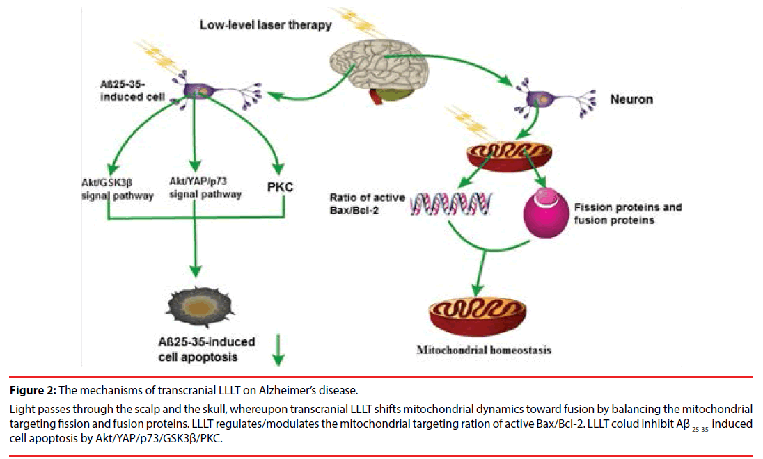 neuropsychiatry-fusion-proteins