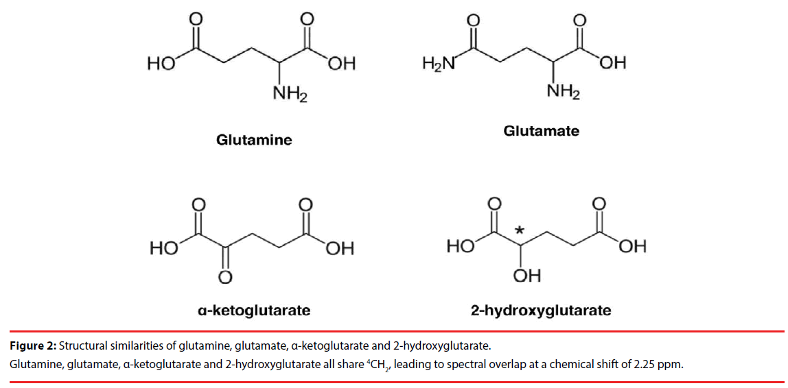 neuropsychiatry-glutamine-glutamate