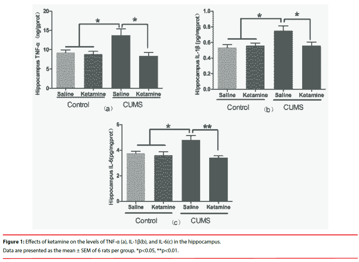 neuropsychiatry-hippocampus-data