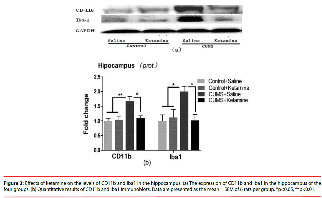 neuropsychiatry-hippocampus-data