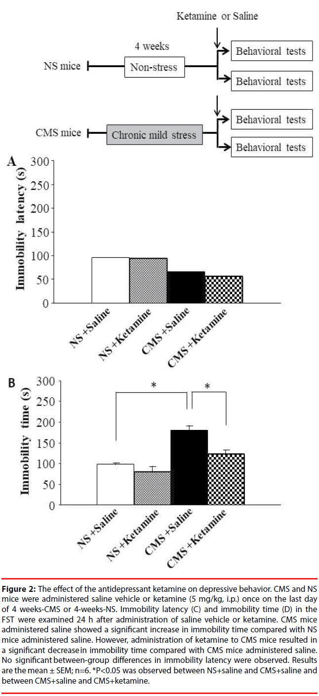 neuropsychiatry-immobility-time