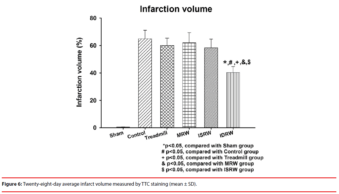 neuropsychiatry-infarct-volume