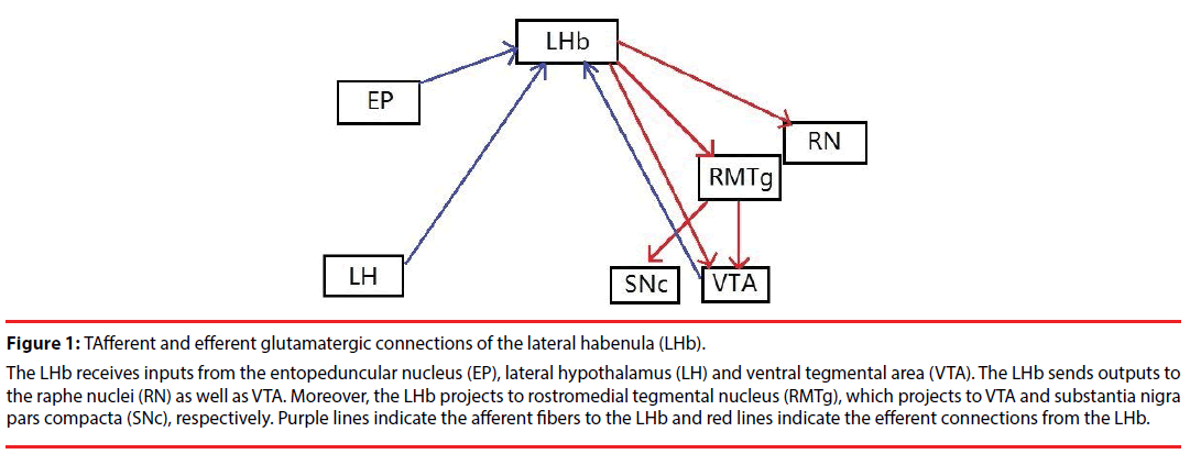 neuropsychiatry-lateral-habenula